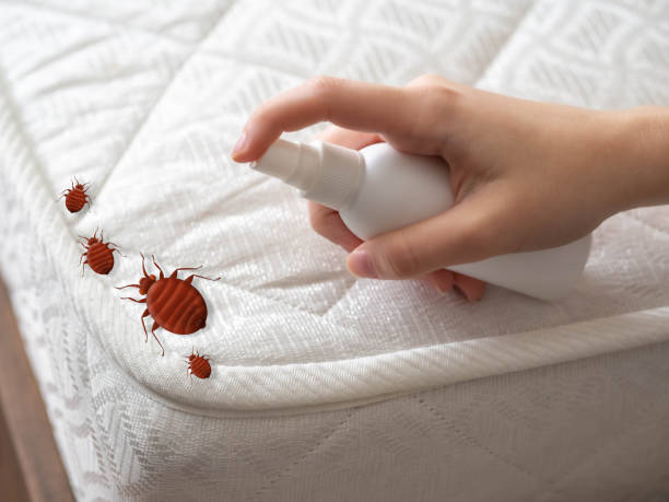 Professional Pest Control in River Hills, WI